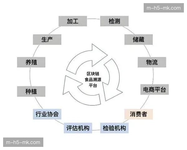 数字版权区块链锚定机制启动，分发溯源进入自动化期